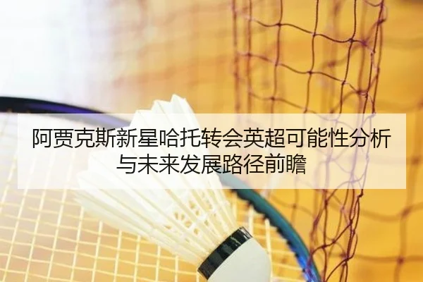 阿贾克斯新星哈托转会英超可能性分析与未来发展路径前瞻